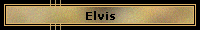 Tribute to Elvis
